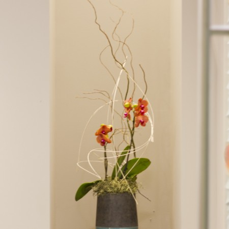 interior design Vancouver dental office flower arrangement
